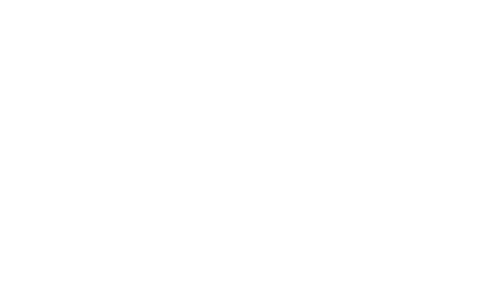 Liner Transport