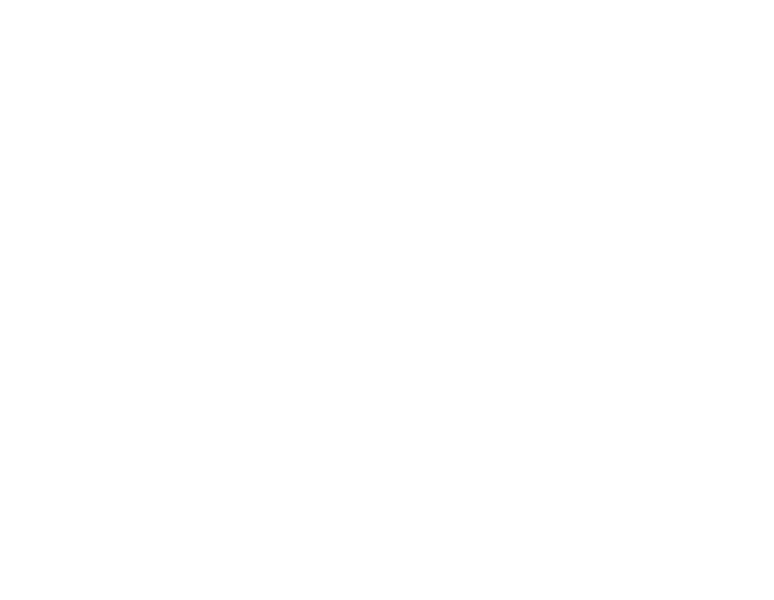 Steel Transport