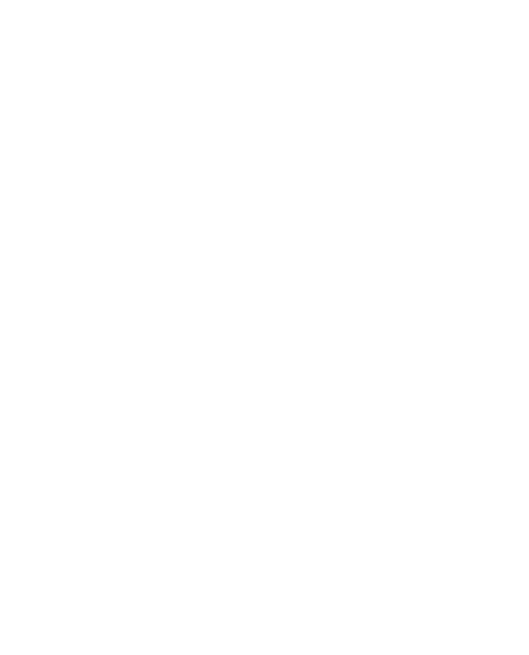 项目物流